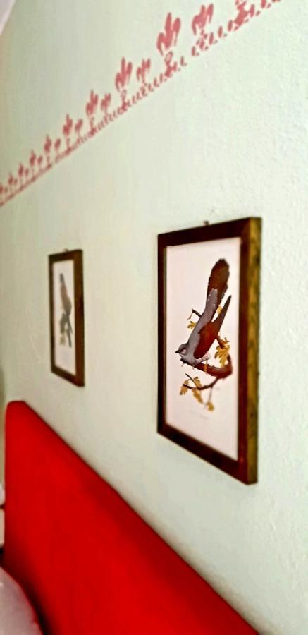 Villa Katarina Branik 外观 照片