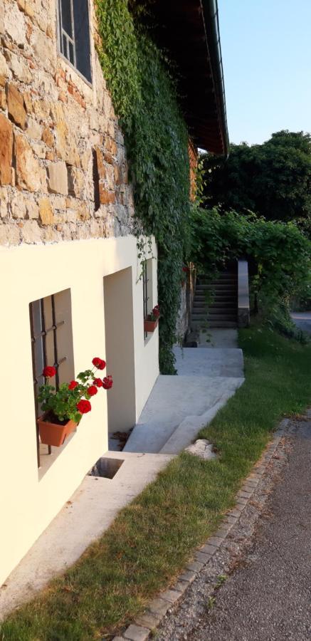 Villa Katarina Branik 外观 照片